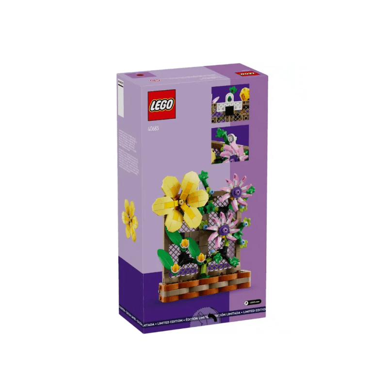 LEGO/乐高 LEGO 40683