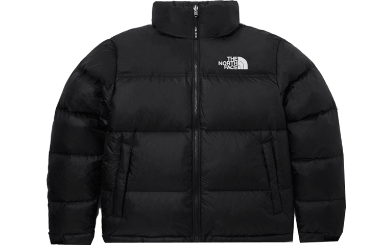 The North Face 1996 EcoNuptse Jacket