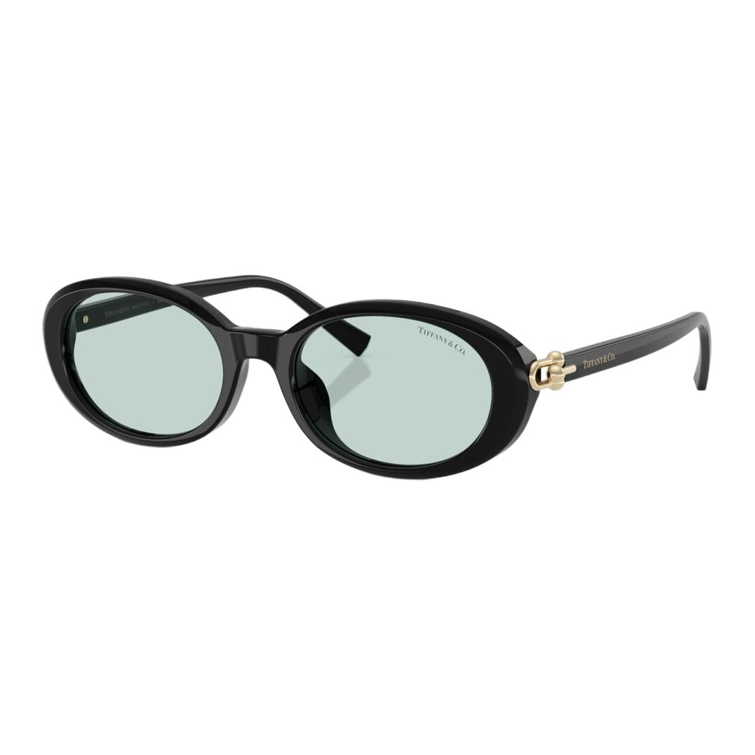 TIFFANY & CO./蒂芙尼 Tiffany & Co. Oval Acetate Sunglasses Black