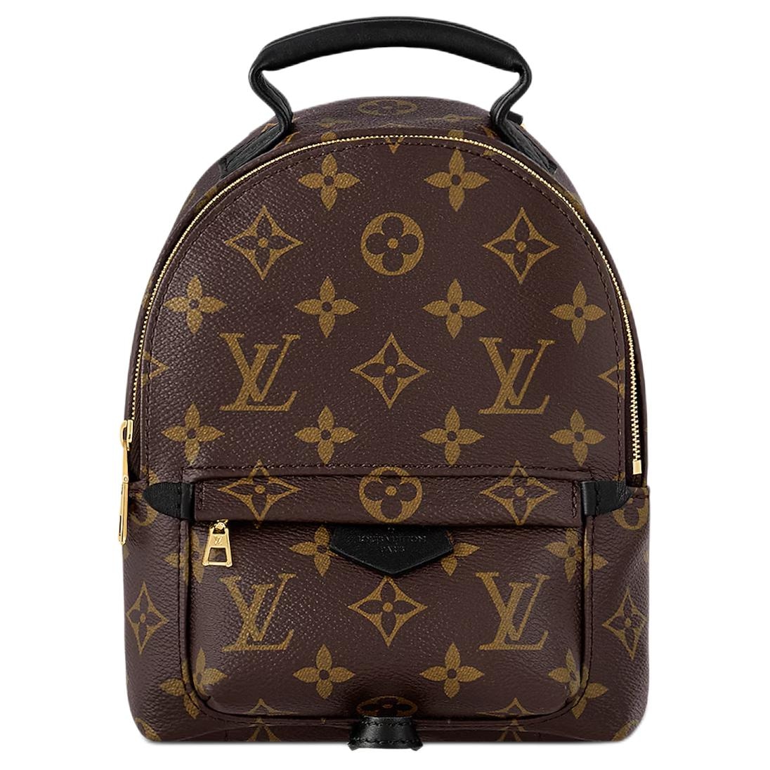 LOUIS VUITTON/路易威登 Louis Vuitton Palm Springs Mini