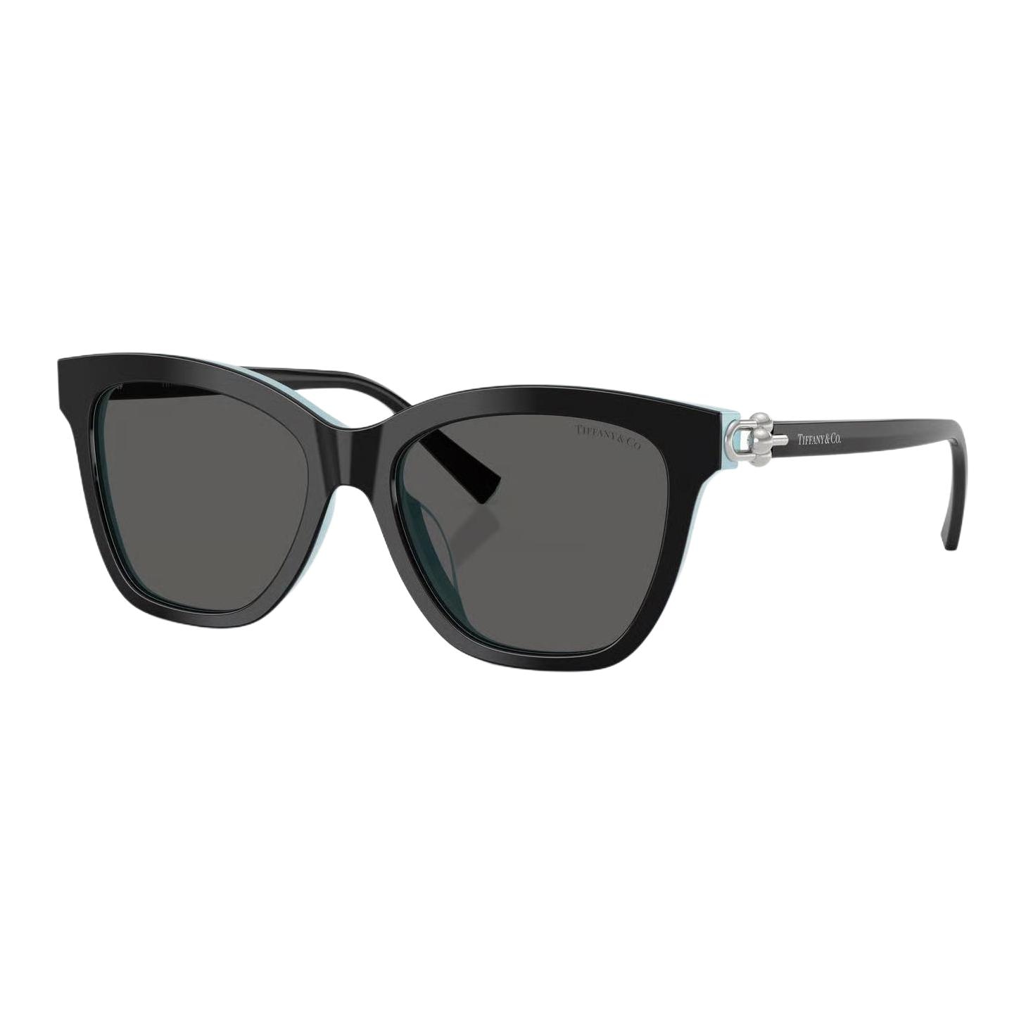 TIFFANY & CO./蒂芙尼 Tiffany & Co. Irregular Acetate Sunglasses Black