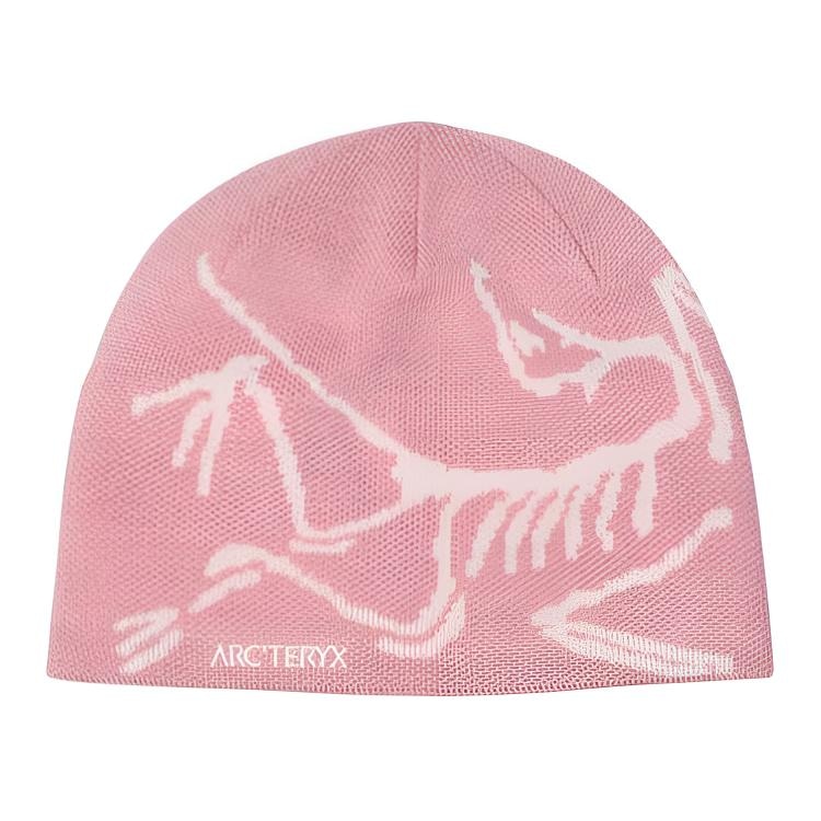 Arcteryx